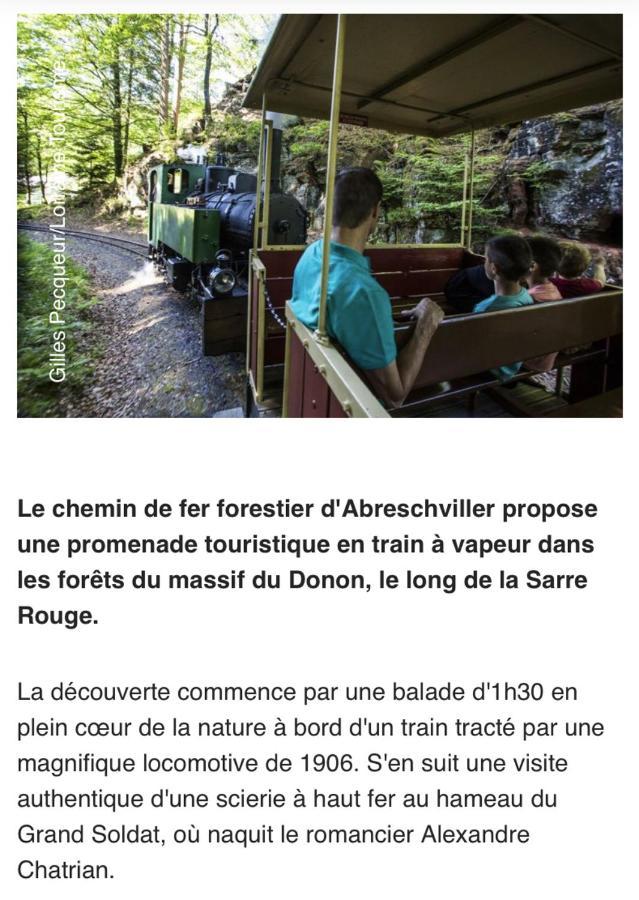 Maison Spacieuse Et Accueillante A Cirey-Sur-Vezouze + Jardin المظهر الخارجي الصورة